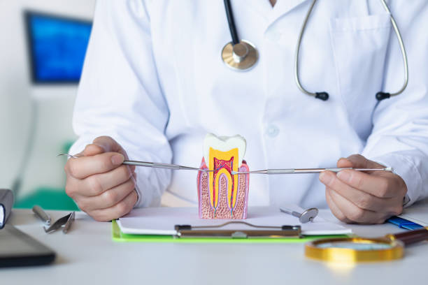 Best Pediatric Emergency Dentist in Wink, TX